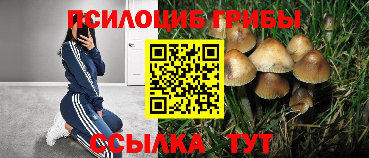 Галлюциногенные грибы мухоморы Черкесск