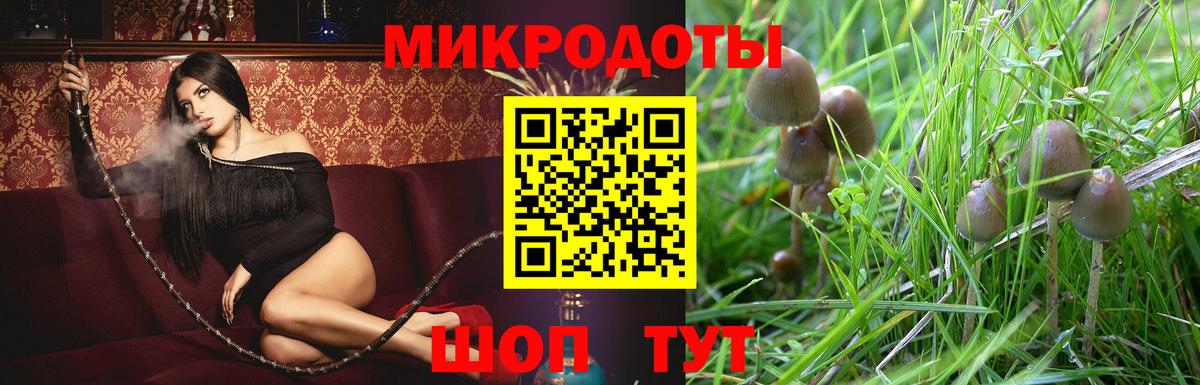 наркошоп  Псилоцибиновые грибы мухоморы  Вход с VPN  Черкесск 